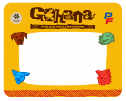 Pawssionproject GIF by Pawssion Project Foundation Inc.