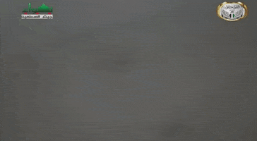 Wtf GIF