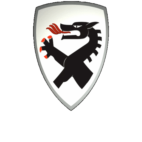 Motoren Technik Mayer | MTM Sticker
