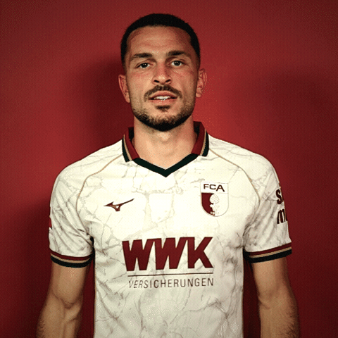 Bundesliga Ibrahimovic GIF by FC Augsburg 1907