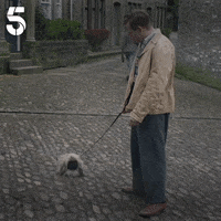 200.gif?cid=fc005b0890da53293172bf70090e76c88b1398afba17c629&rid=200.gif&ct=g