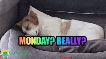 Tired Monday GIF by SunriseInvesting