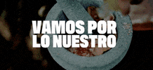 Vamos GIF