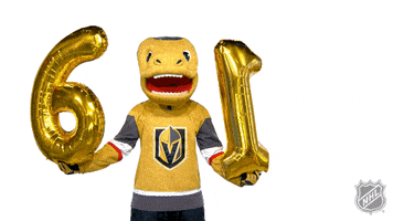 Vegas Golden Knights Sport GIF by NHL