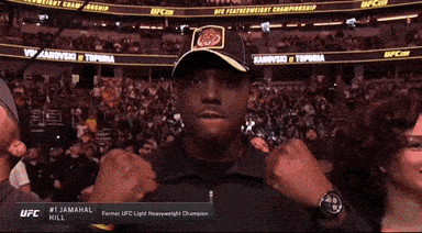 Mixed Martial Arts Sport GIF by UFC