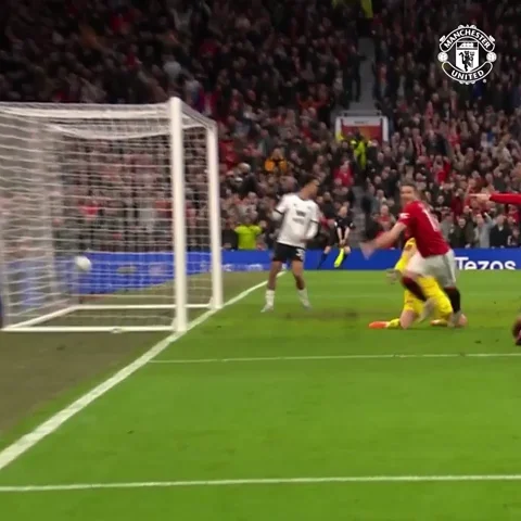 Sport Win GIF by Manchester United
