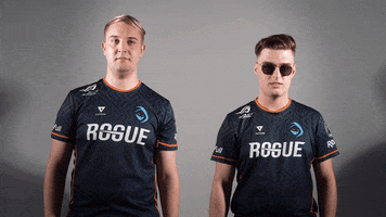 Esports Players GIF by Rogue