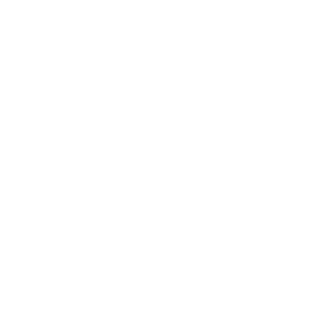 Wedo Sticker by Women & Gender Consituency