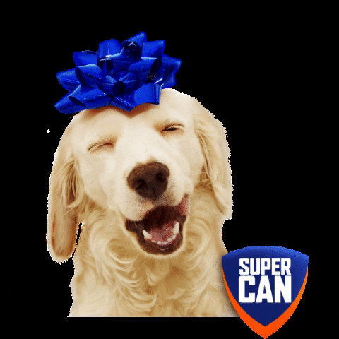supercan_peru GIF