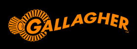 GIF by Gallagher Brasil