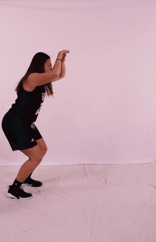 Dolphin Dance GIF - Dolphin Dance - Discover & Share GIFs