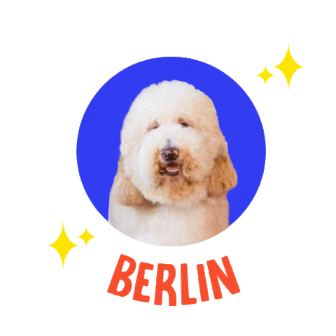 Dog Berlin Sticker by Z Giant Poodles