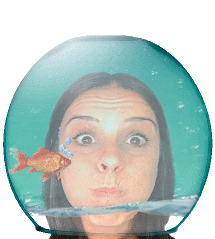 Little Fish Swimming Sticker by Marketing en bandeja