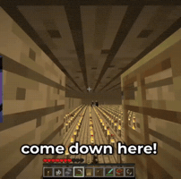 Minecraft GIF