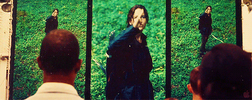 the hunger games hand GIF
