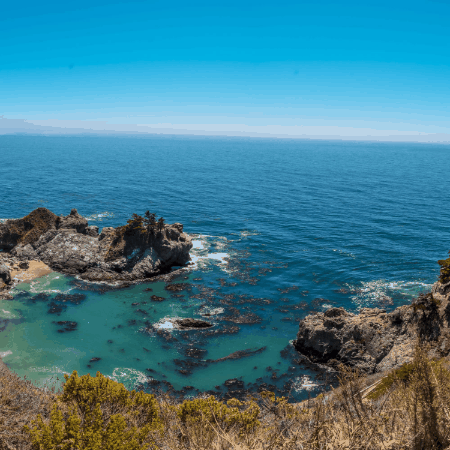 Vajira Samaratne GIF