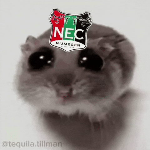 Sad Hamster GIF