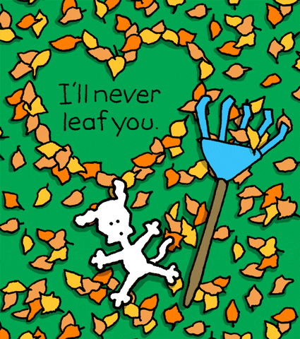 I Love You Fall GIF by Chippy the Dog