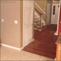 200w.gif