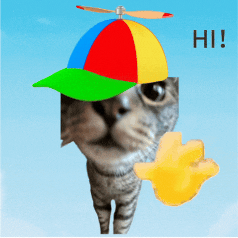 Cute Cat Hello GIF by Furrend