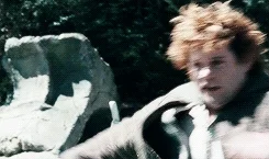 the lord of the rings i am on holiday GIF