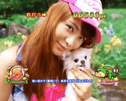 Dog GIF