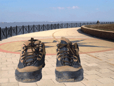 shoes GIF
