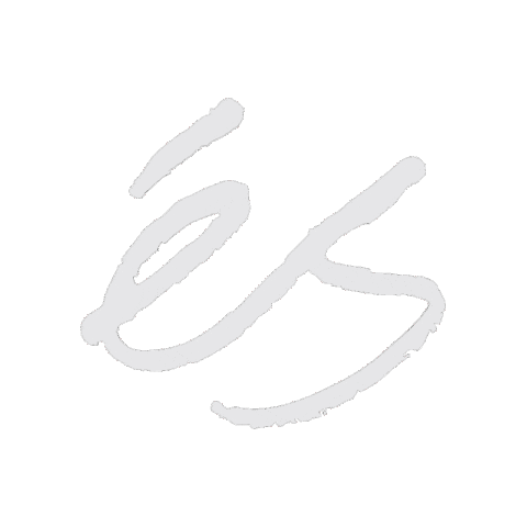 Es Footwear Sticker by éS Skateboarding