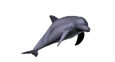 Martin Fischer Sticker