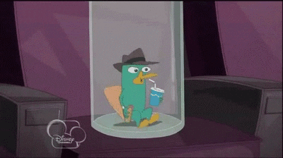 phineas and ferb perry GIF