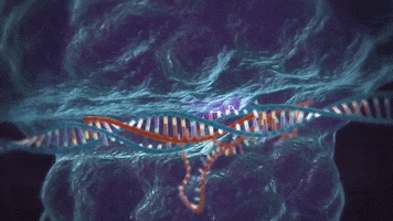 genetics GIF by MIT 