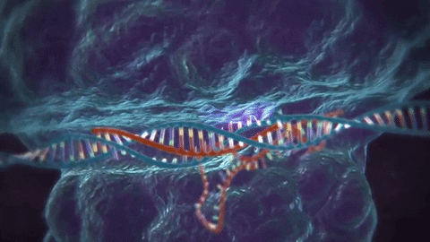 Genetics GIF by MIT  - Find & Share on GIPHY
