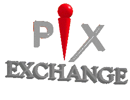 PIX Exchange Sticker