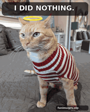 GIF by funimagesvip