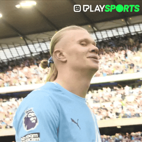 Premier League Football GIF by Play Sports