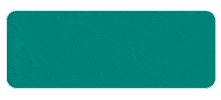 Ovarian Cancer Canada Sticker