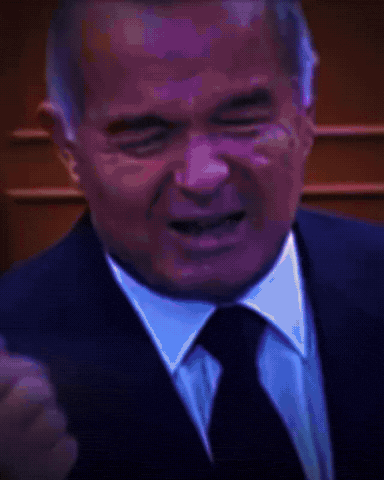 Uzb Prezident GIF
