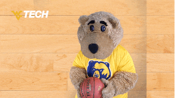 West Virginia Basketball GIF by WVU Tech Golden Bears