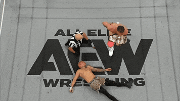 World Champion Wrestling GIF