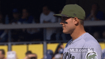 chicago cubs no GIF by MLB