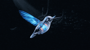 Marca Marketing Digital GIF by Videira Digital