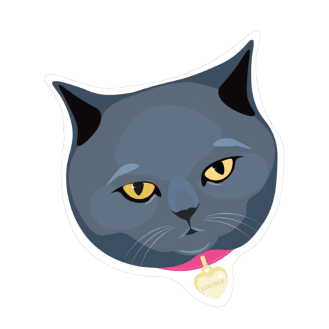 Sopha Dophaa Edit GIFs on GIPHY - Be Animated