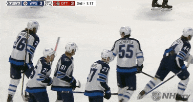 Ice Hockey Fist Bump GIF by NHL