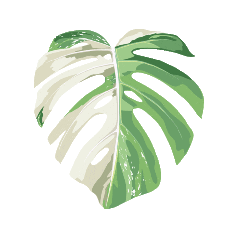 Summer Love Sticker