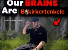 Bakirkertenkele GIF