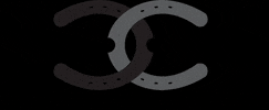 Cavaliere Couture GIF