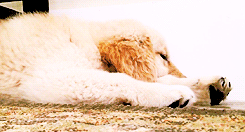 cuteness