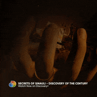 200.gif?cid=fc005b08ff036a860ff523bde1ff3e2b2d701b9a2f093aa3&rid=200.gif&ct=g