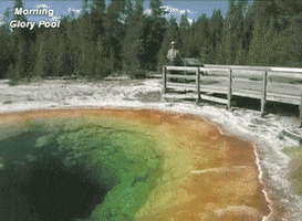 geologypage yellowstone geology geologypage morning glory pool GIF