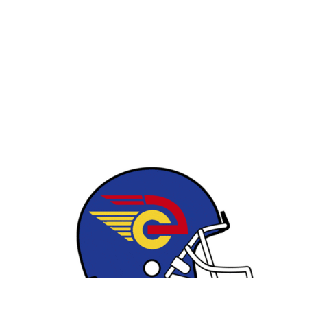 Football Sticker by Camioneros de Coslada